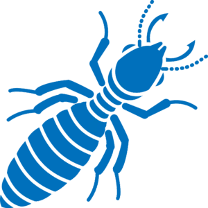Termite icon representing wood destroying insect inspection services