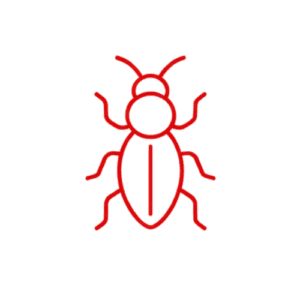 Termite